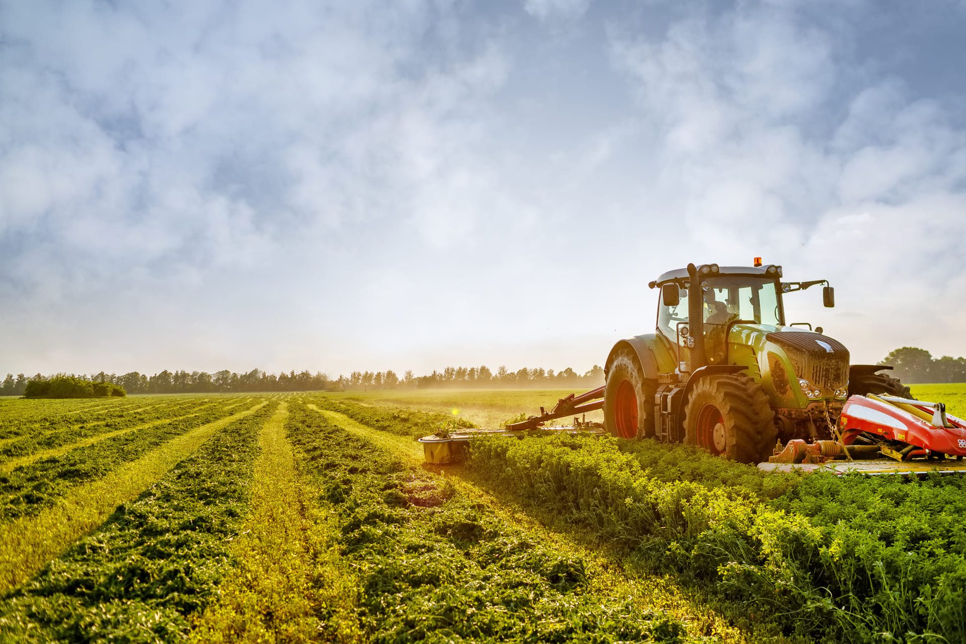 Farming machinery working in golden light