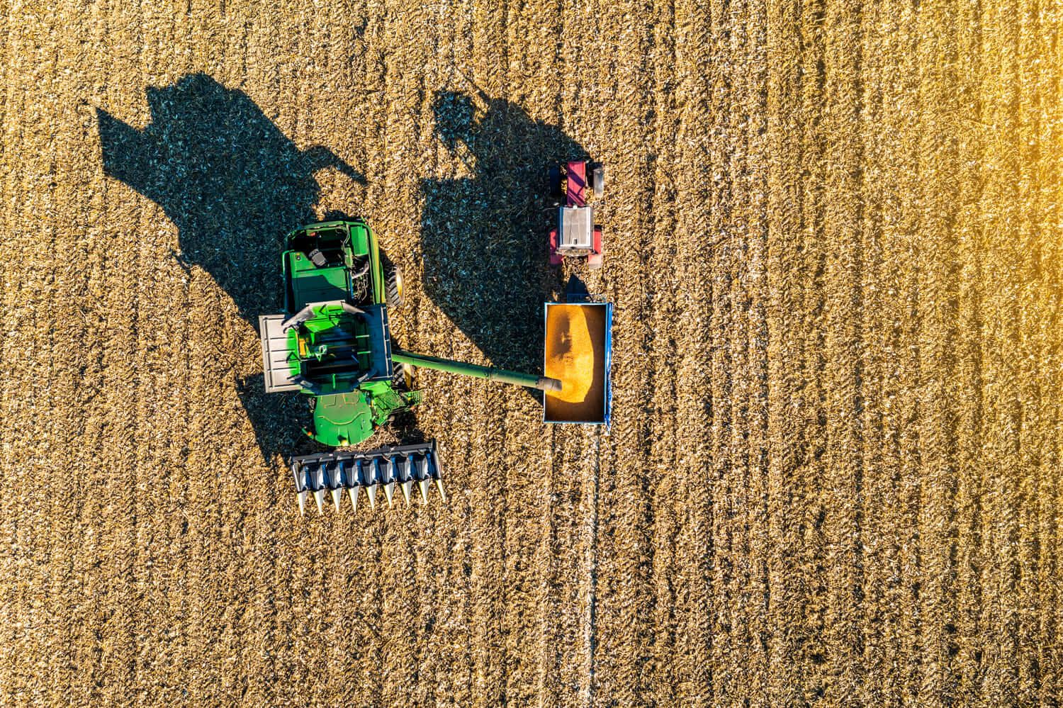 Agricultural machinery harvesting in large farm field